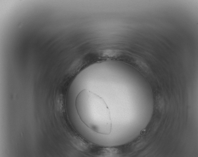 X0000068300328200604281716