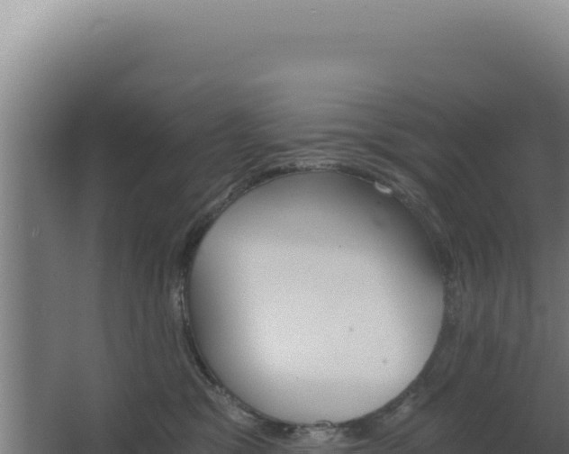 X0000068300329200604281716