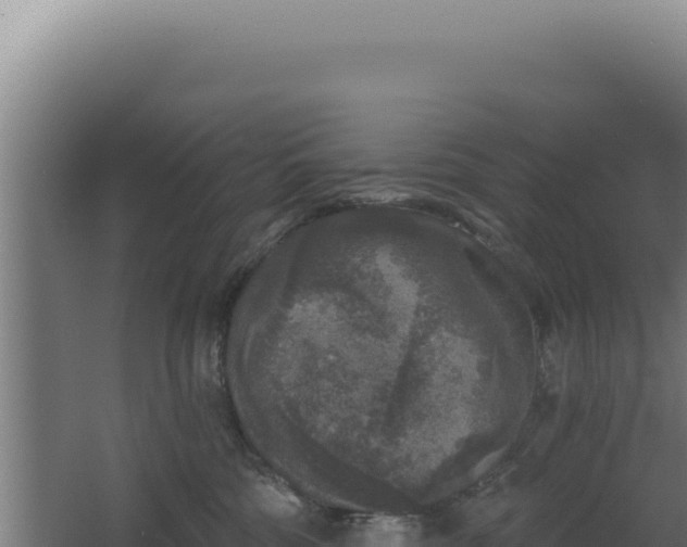 X0000068300330200604281716