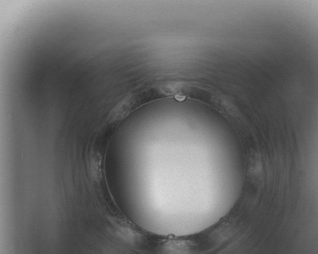 X0000068300332200604281716