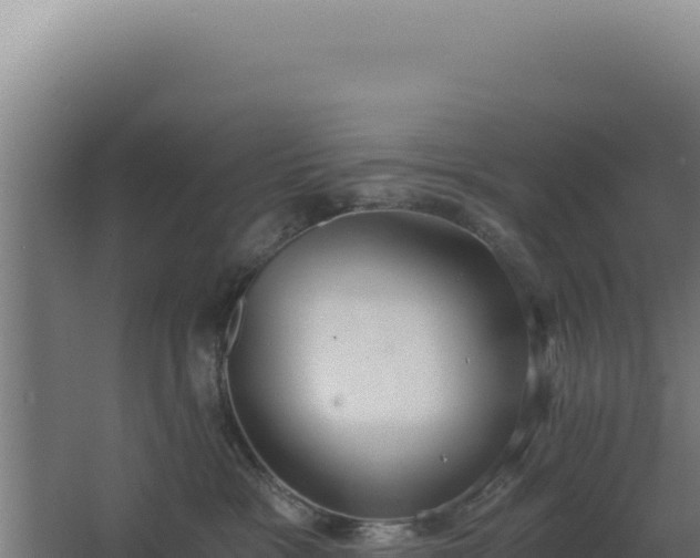 X0000068300333200604281716