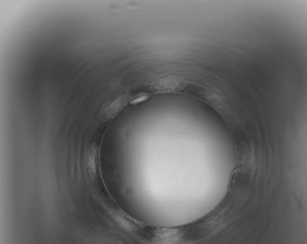 X0000068300334200604281716