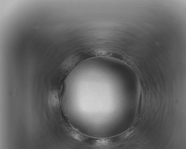 X0000068300335200604281716