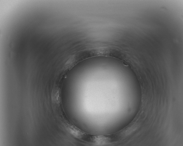 X0000068300336200604281716