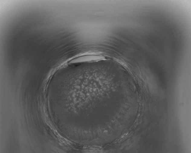 X0000068300337200604281715