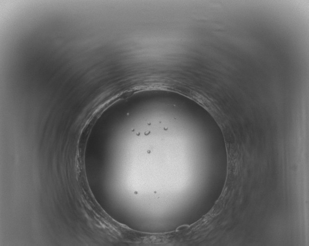 X0000068300338200604281715