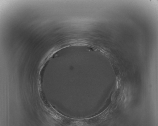 X0000068300339200604281715