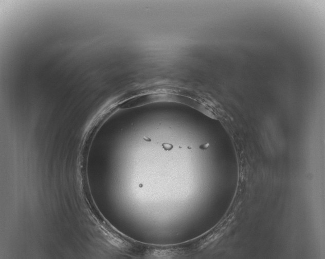 X0000068300341200604281715