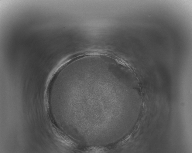 X0000068300343200604281715