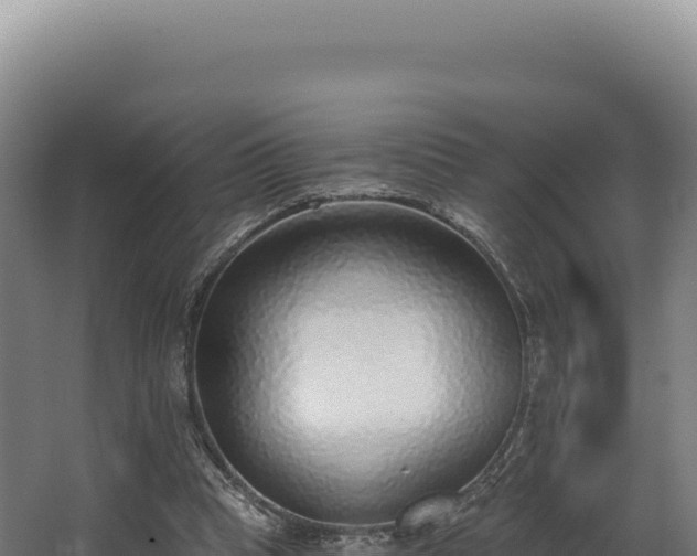 X0000068300345200604281715