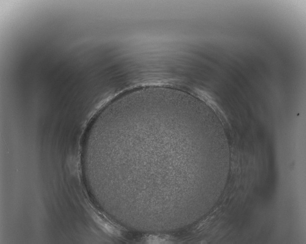 X0000068300346200604281715