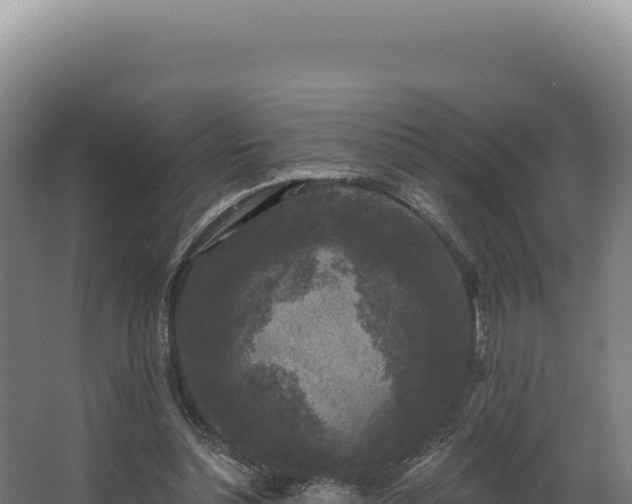 X0000068300348200604281715