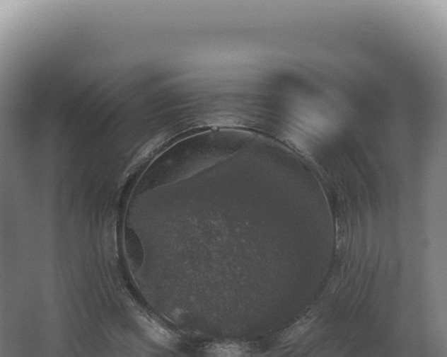 X0000068300349200604281715