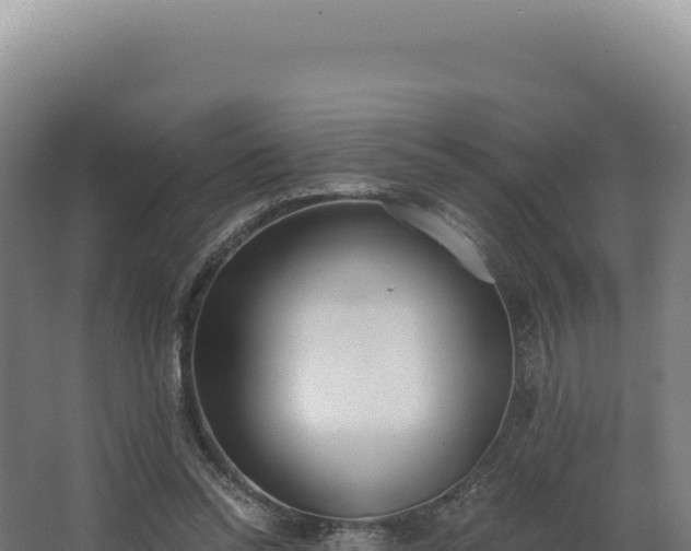 X0000068300350200604281715