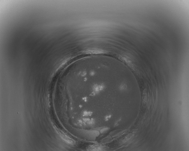 X0000068300351200604281715