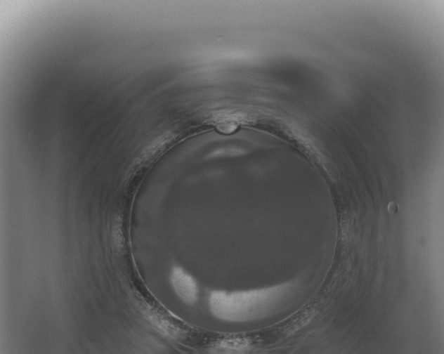 X0000068300353200604281715