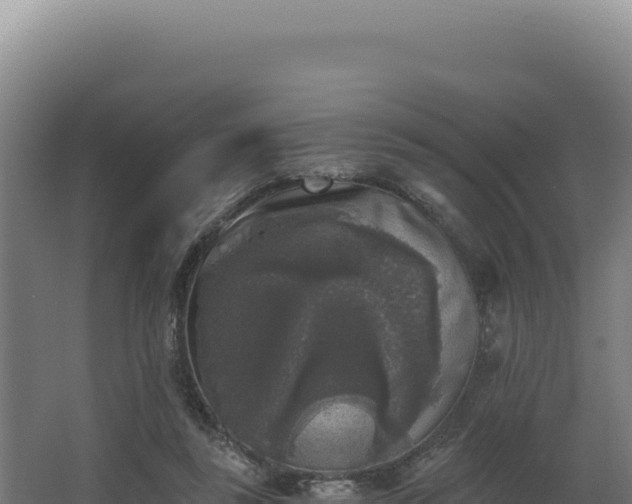 X0000068300355200604281715