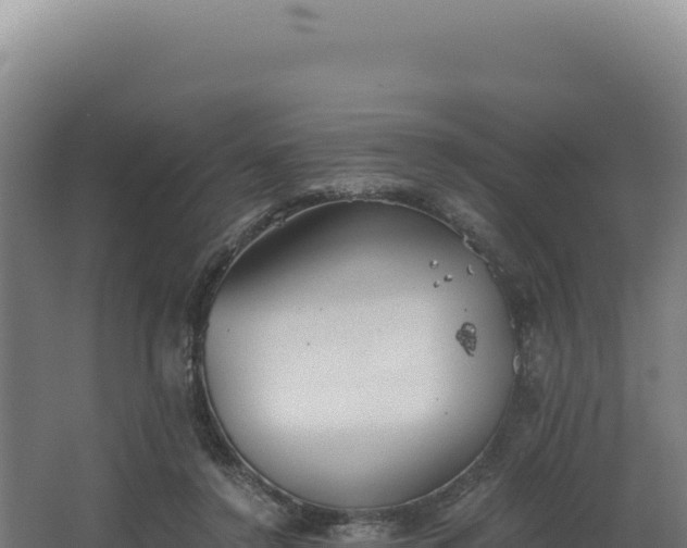 X0000068300356200604281715