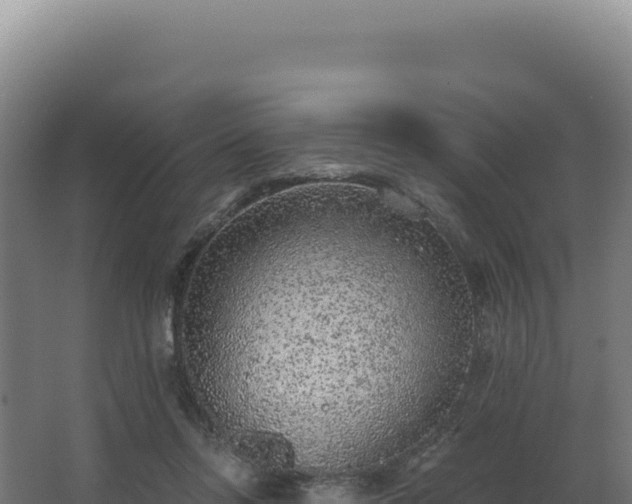 X0000068300358200604281715