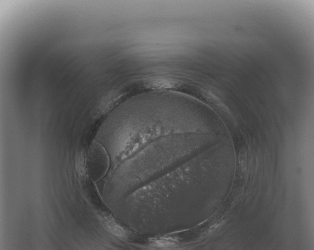 X0000068300359200604281715