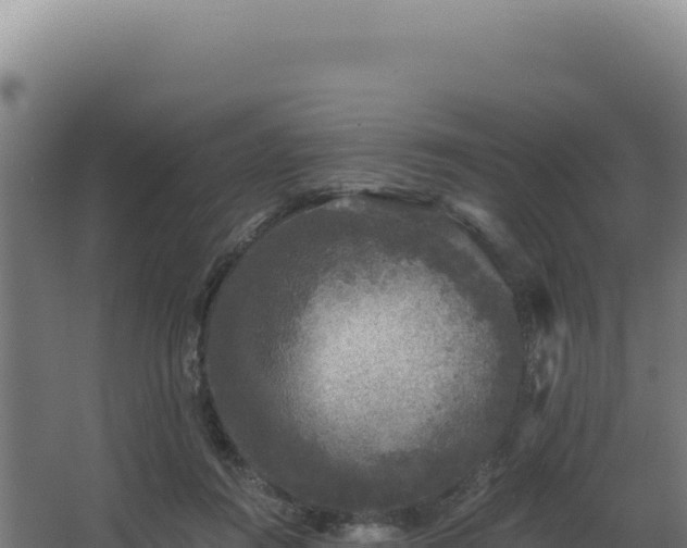 X0000068300360200604281715