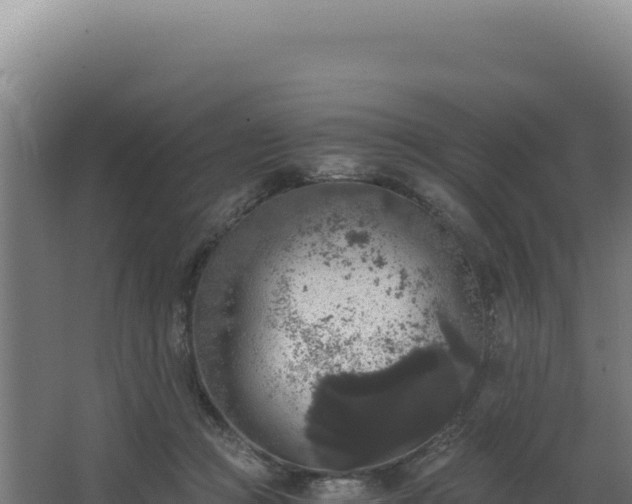 X0000068300361200604281715