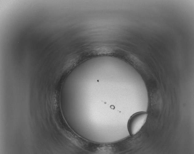 X0000068300362200604281715