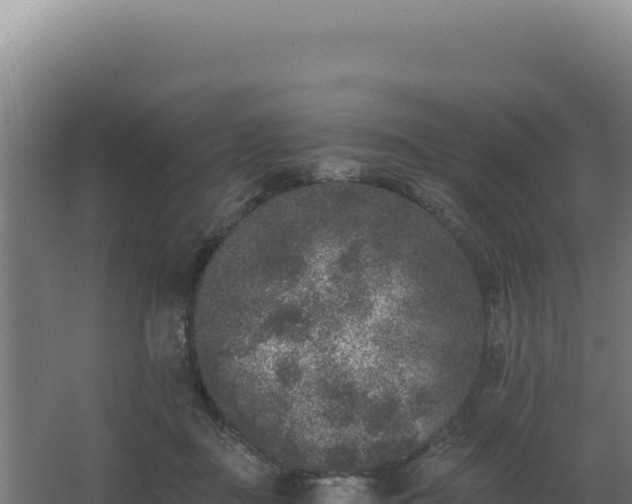 X0000068300363200604281715