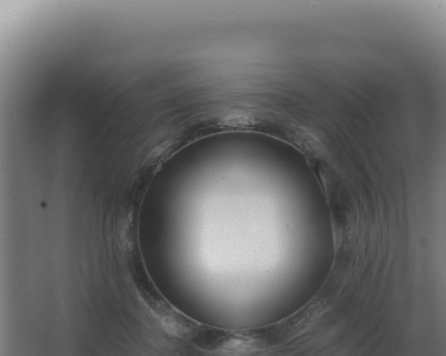 X0000068300364200604281715