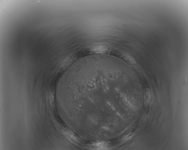 X0000068300365200604281715