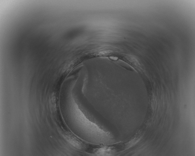 X0000068300366200604281715