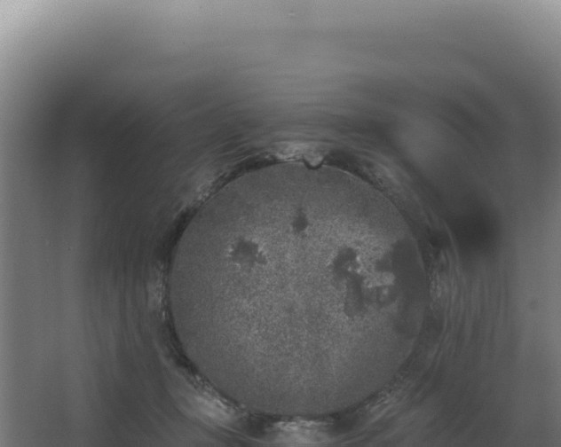 X0000068300367200604281715