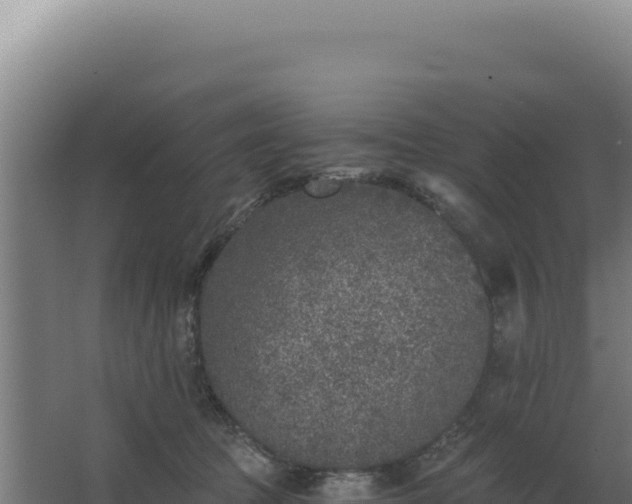 X0000068300369200604281715