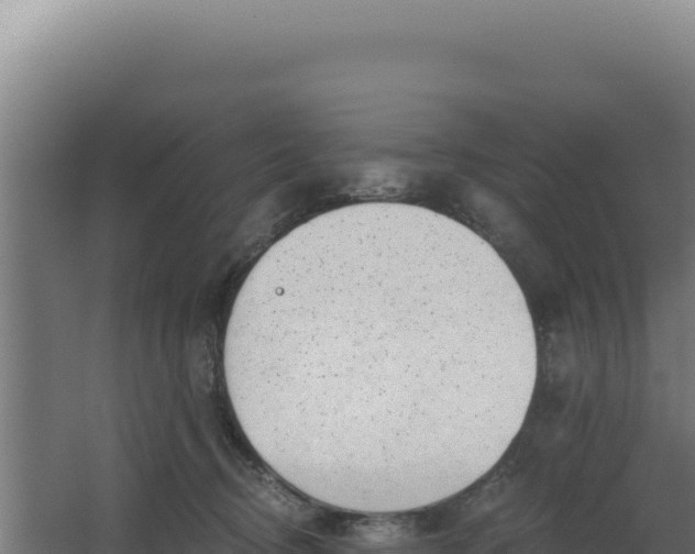 X0000068300370200604281716