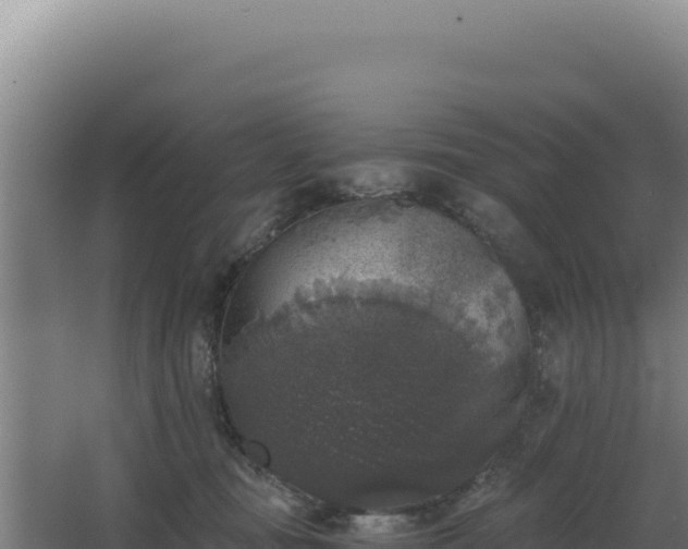 X0000068300371200604281716