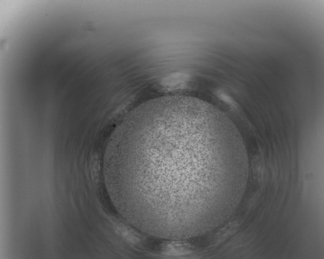 X0000068300372200604281716