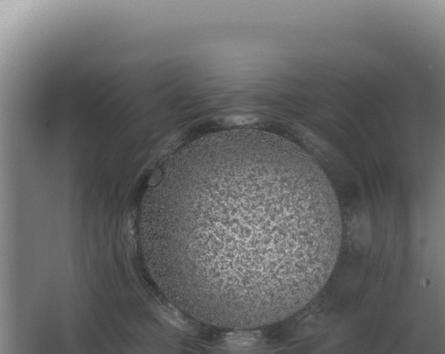 X0000068300373200604281716