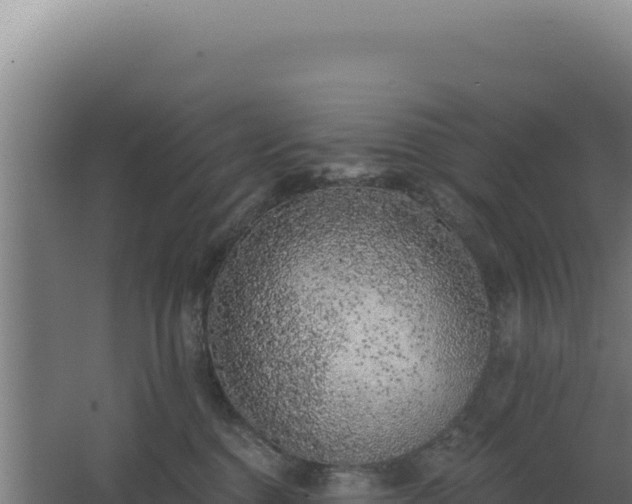 X0000068300376200604281716