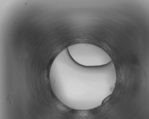 X0000068300377200604281716