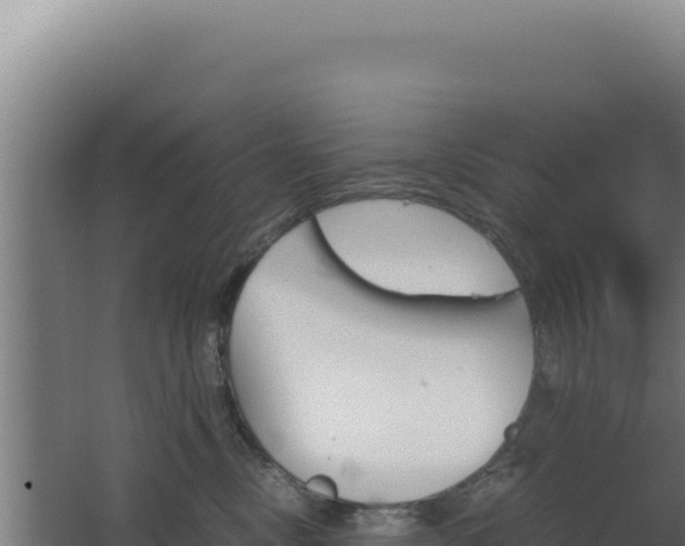 X0000068300378200604281716