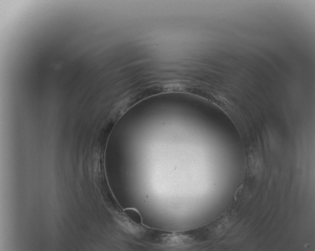 X0000068300379200604281716