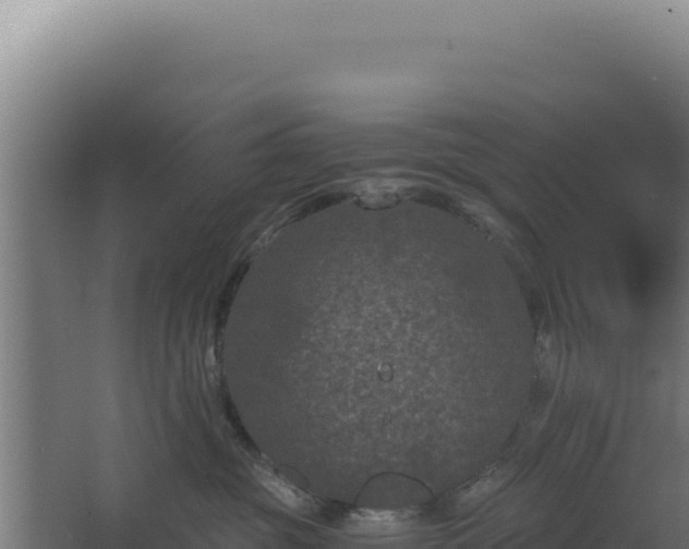 X0000068300381200604281716