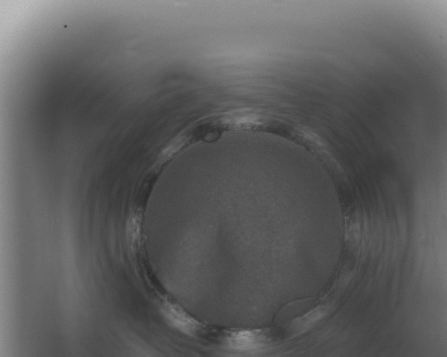 X0000068300382200604281716