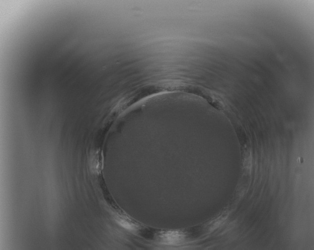 X0000068300383200604281716