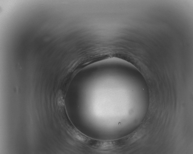 X0000068300384200604281716