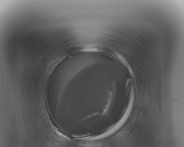 X0000068300385200604281715