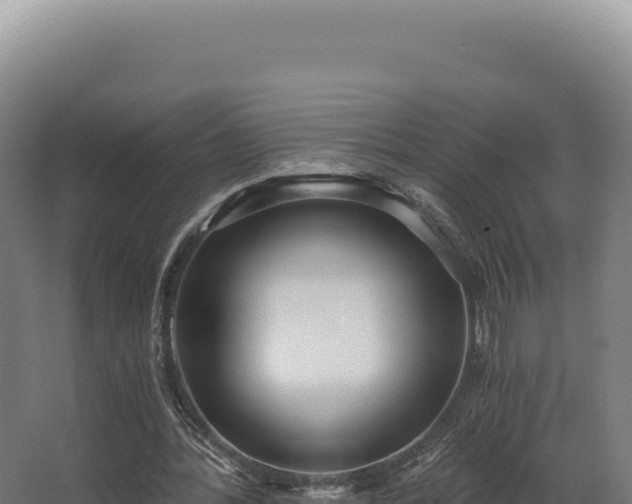 X0000068300388200604281715