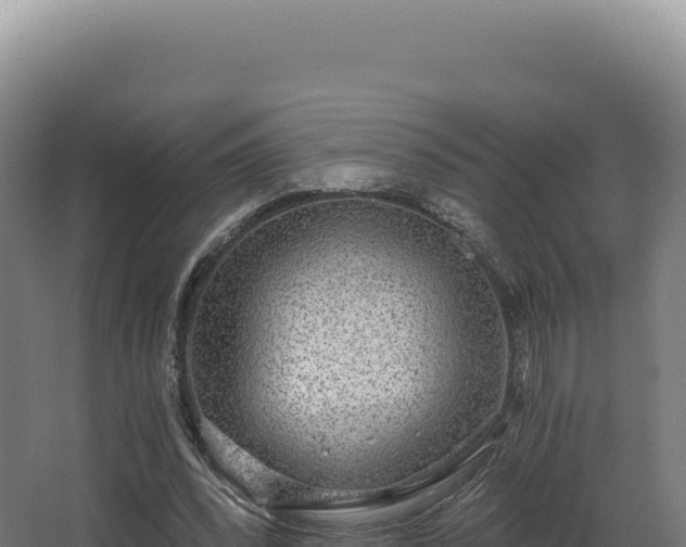 X0000068300392200604281715