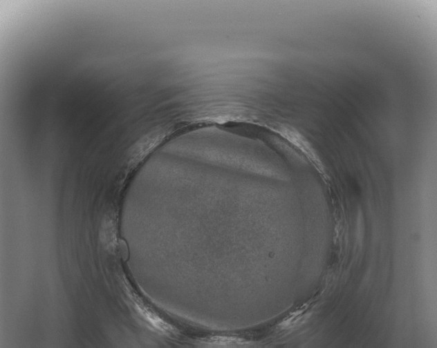 X0000068300393200604281715