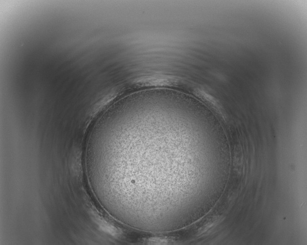 X0000068300394200604281715